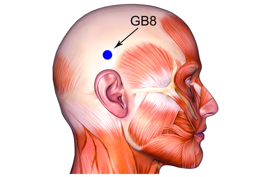 GB8 shuaigu acupoint