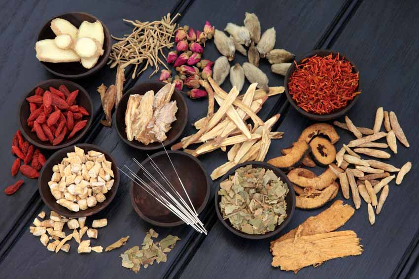 acupuncture herbs tcldl