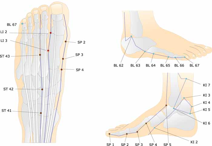 Acupoints of the foot chart