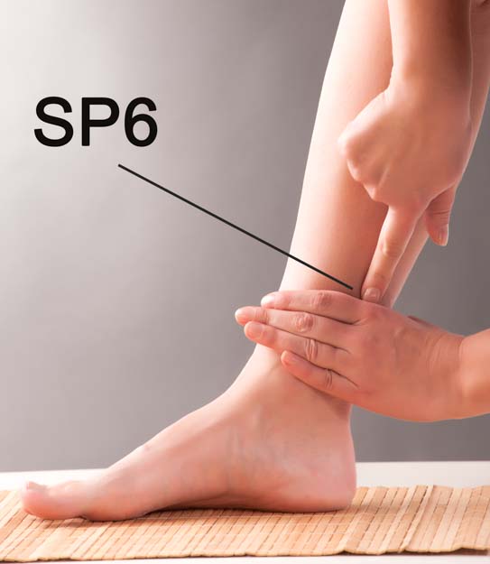 Location of SP6 (Sanyinjiao) on female model 