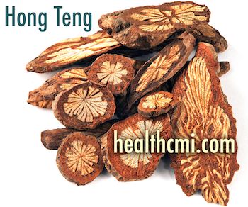 This photo includes the herb hong teng, often used in TCM herbal medicine. 
