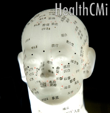 Acupoints of the head are depicted in this model. 