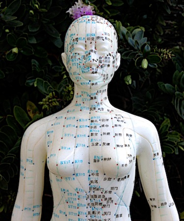 PCOS is successfully regulated including androgen regulation with acupuncture. 