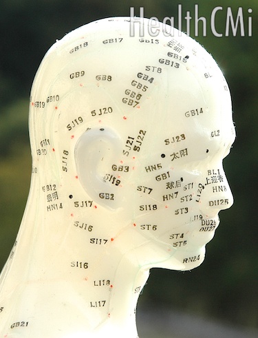 Scalp and head acupuncture points are located here. 