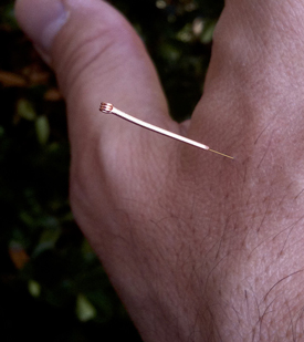 Gold acupuncture needles were used in this MRI study of pain. 