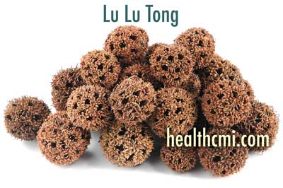 Lu Lu Tong is an important herb for the TCM treatment of PID. 