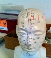 Acupuncture and electroacupuncture have been scientifically proven to relieve stroke spasticity. 