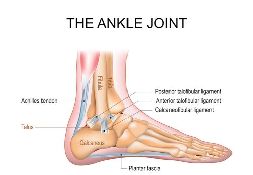 AchillesHealthCMiankle25