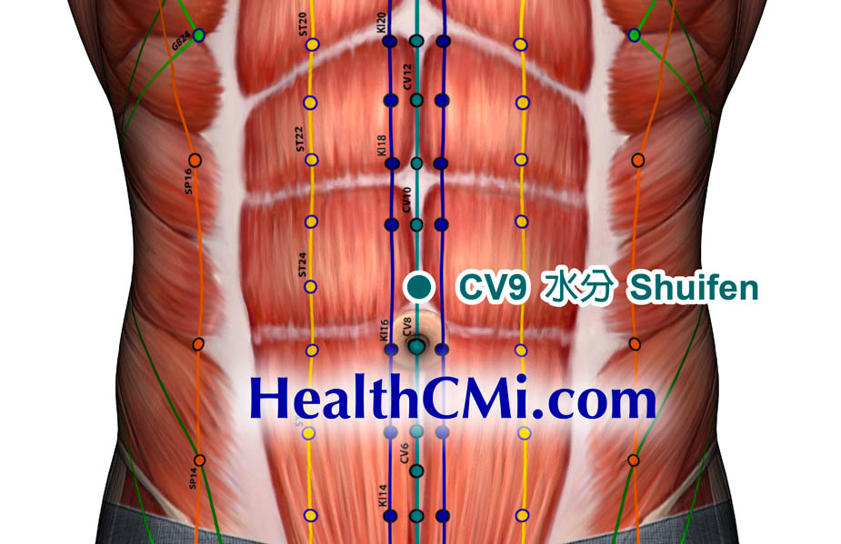 CV9 shuifen acupointcv
