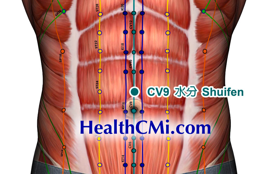 CV9 shuifen acupointcv