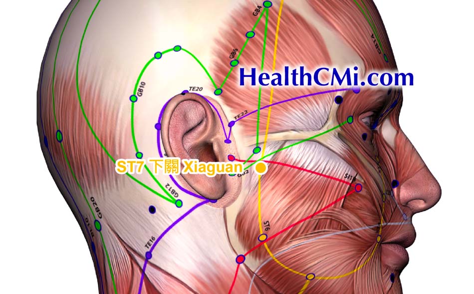ST7TMJ healthcmiacu