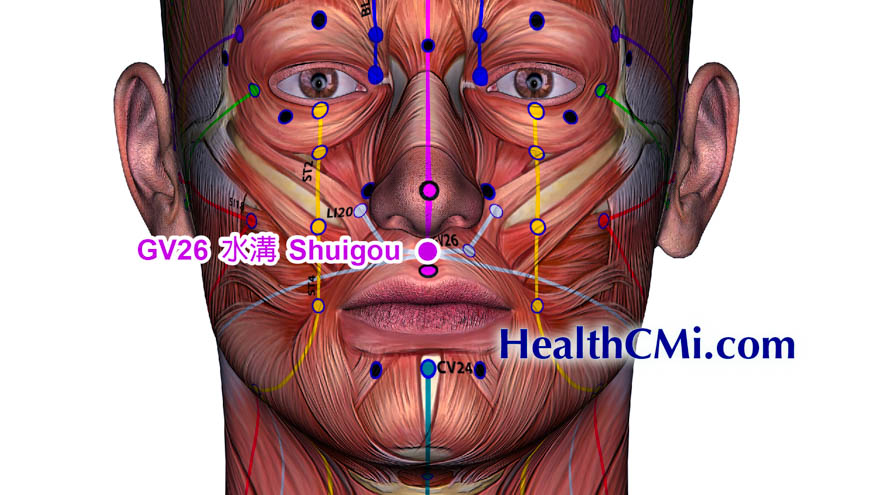 acupunctureceuGv26 shuigou