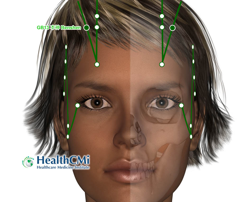 benshengb13 acupuncture female fxn