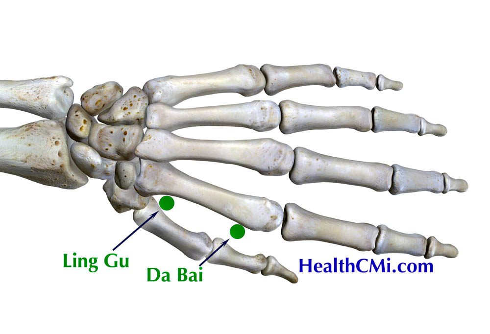 healthcmi linggudabai24b