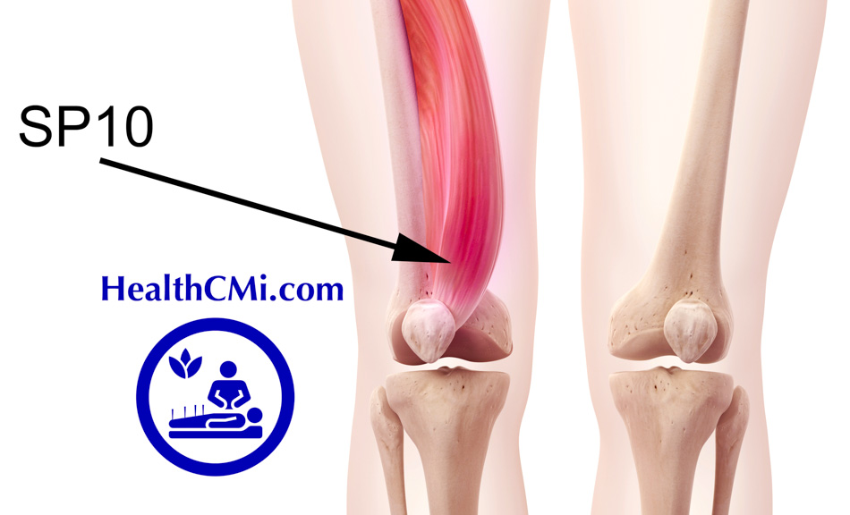 healthcmi sp10 xuehai