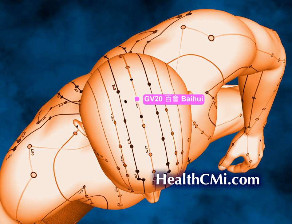 healthcmigv20epilepsy