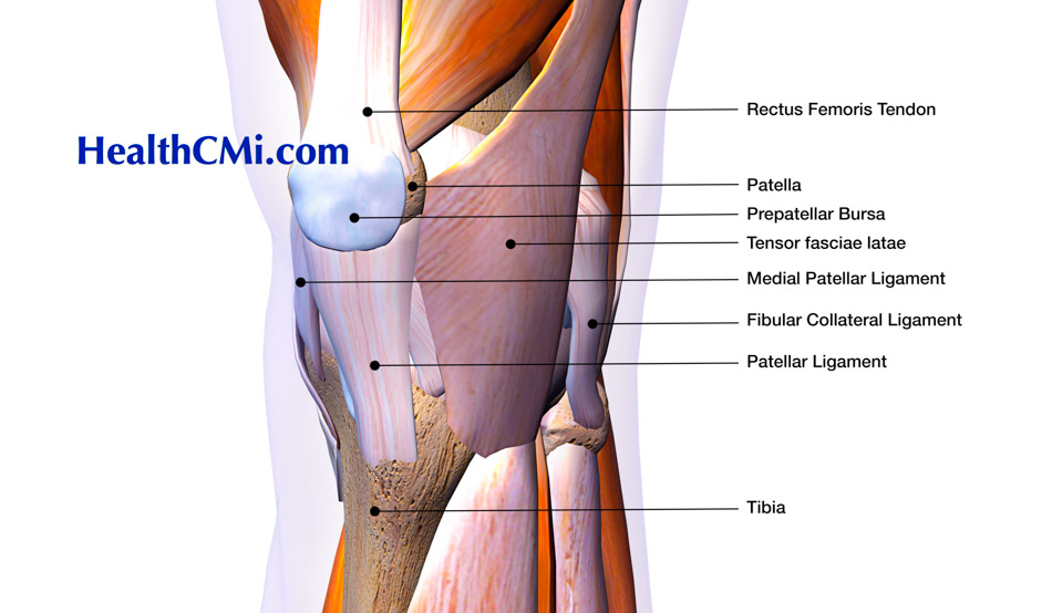 kneeeventacupuncture63024