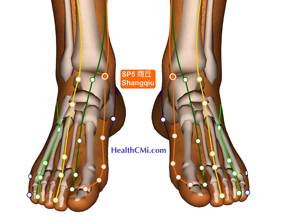 sp5 gout