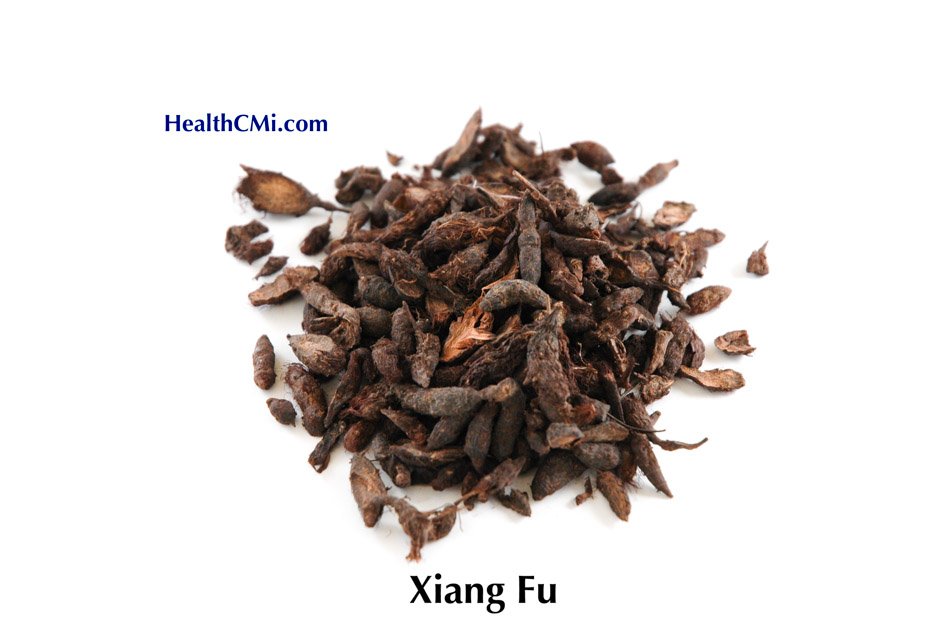xiang fu chinese herb helathcmi