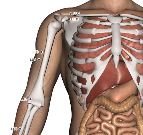 Lung Acupoints