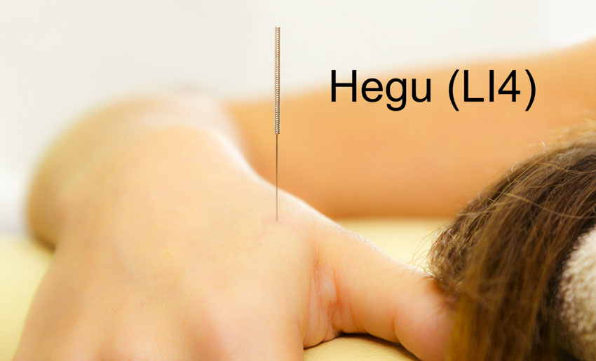 Hegu (LI4)