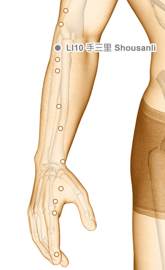 LI10 Shousanli ArmThreeMiles