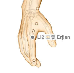 LI2 Ejian