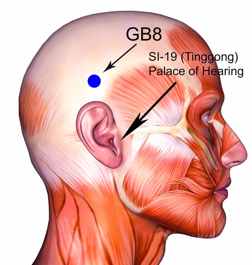 https://tinnituswars.wordpress.com/2012/10/09/stop-button-pressure-points-for-the-nagging- ringing/ | Salute