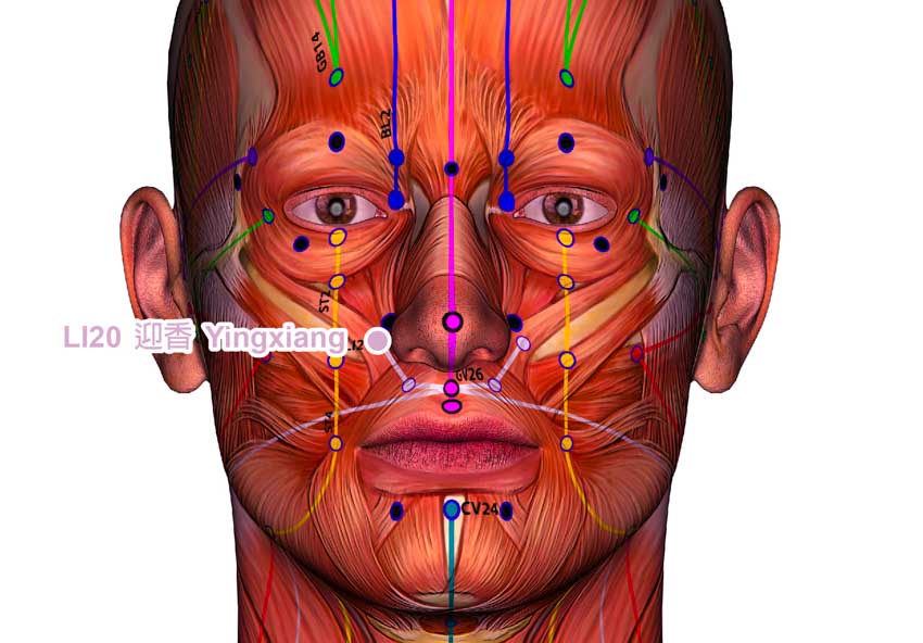 acupuncture bells palsy reserach