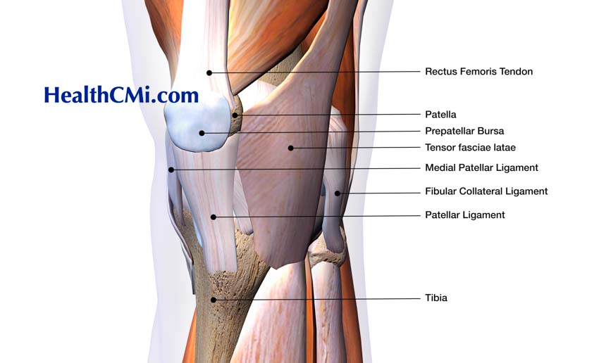 acupuncture knee research 722