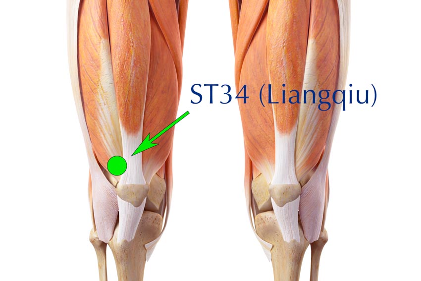 Acupuncture for Calf Trigger Points — Morningside Acupuncture NYC