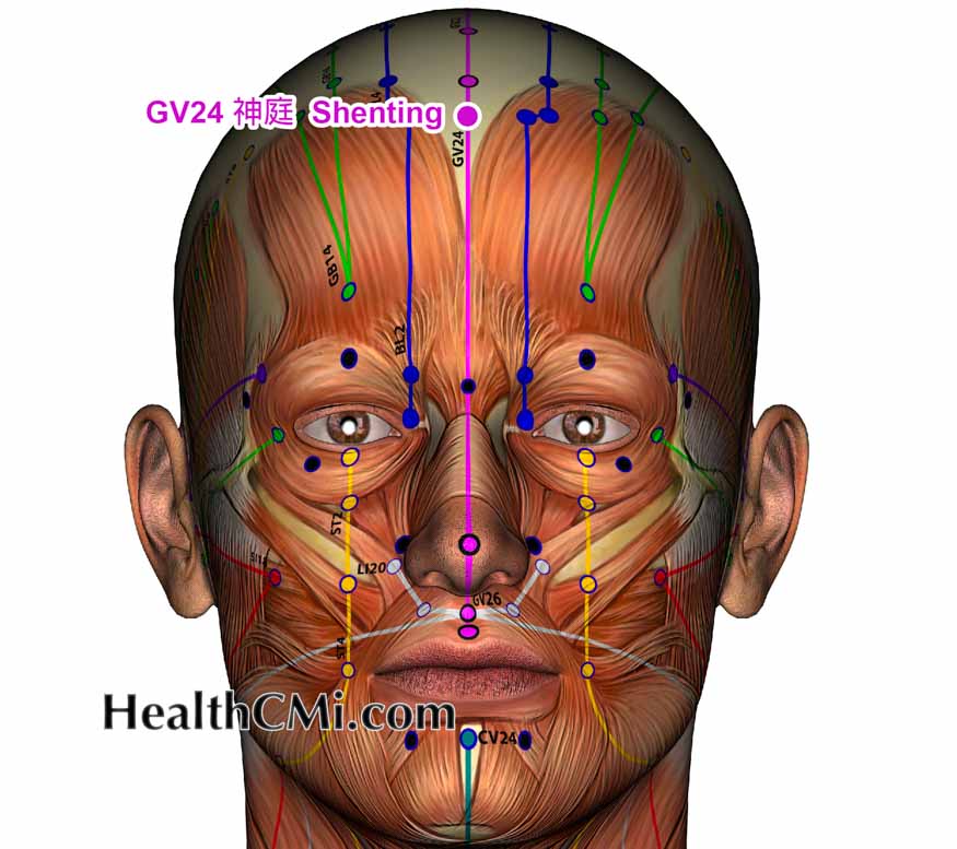 acupuncture top3 2022