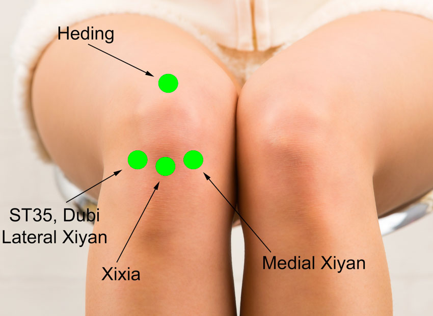 acupuncture xiyan knee
