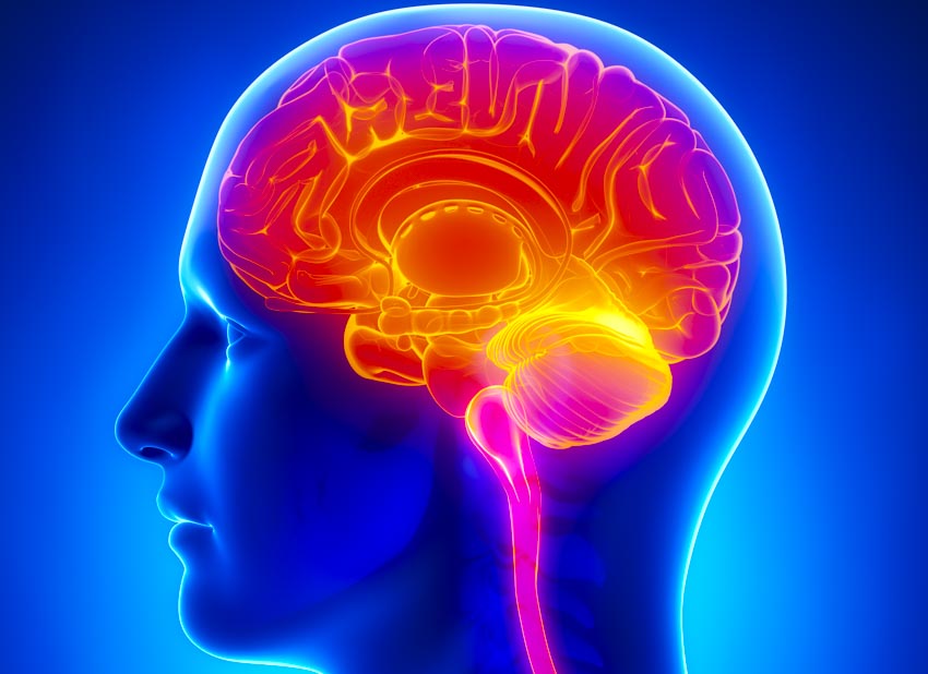 Acupuncture Beats Drugs For Cognitive Impairment