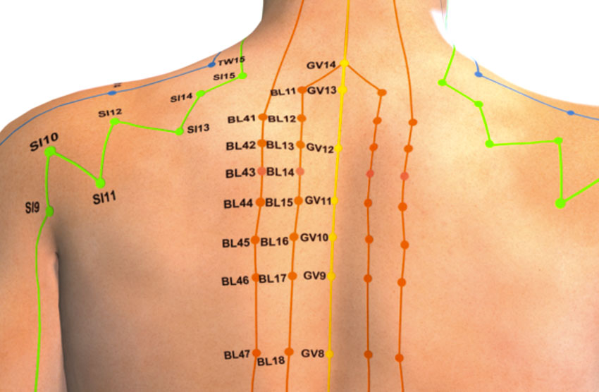 Charlotte Acupuncture Clinic