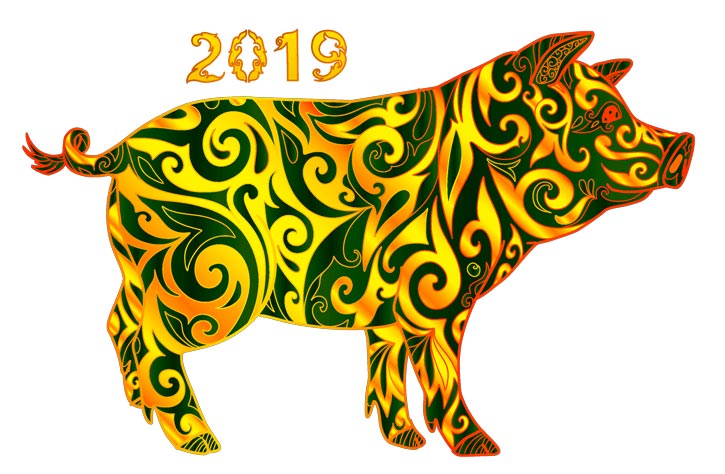 year of the pig