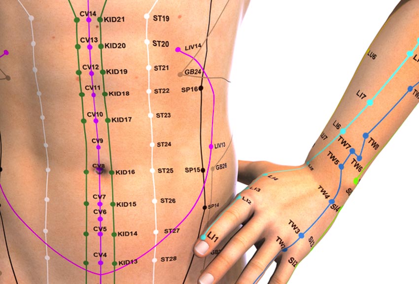 Stomach Acupuncture Points Chart