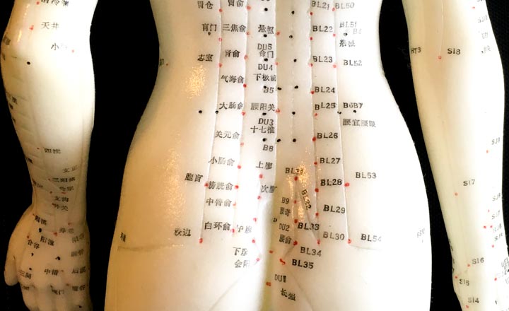 Ciliao (BL32) and other points on an acupuncture doll