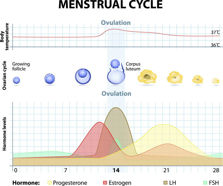 Period Heaviness Chart