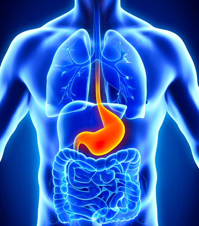 gastroesophageal area