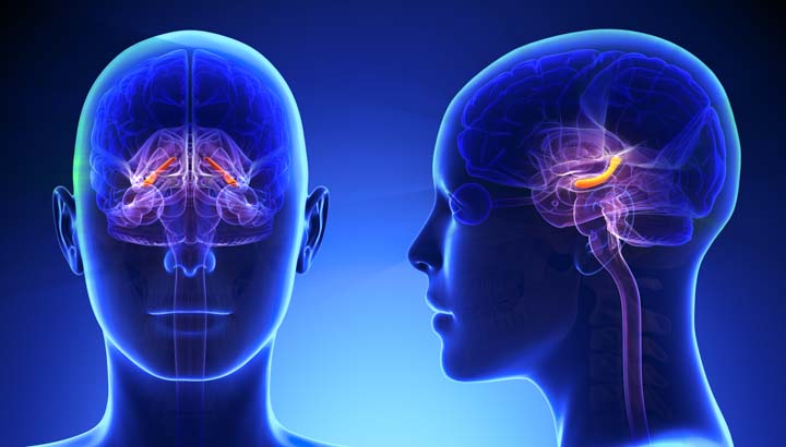 Acupuncture Activates Brain On MRI, Relieves Depression