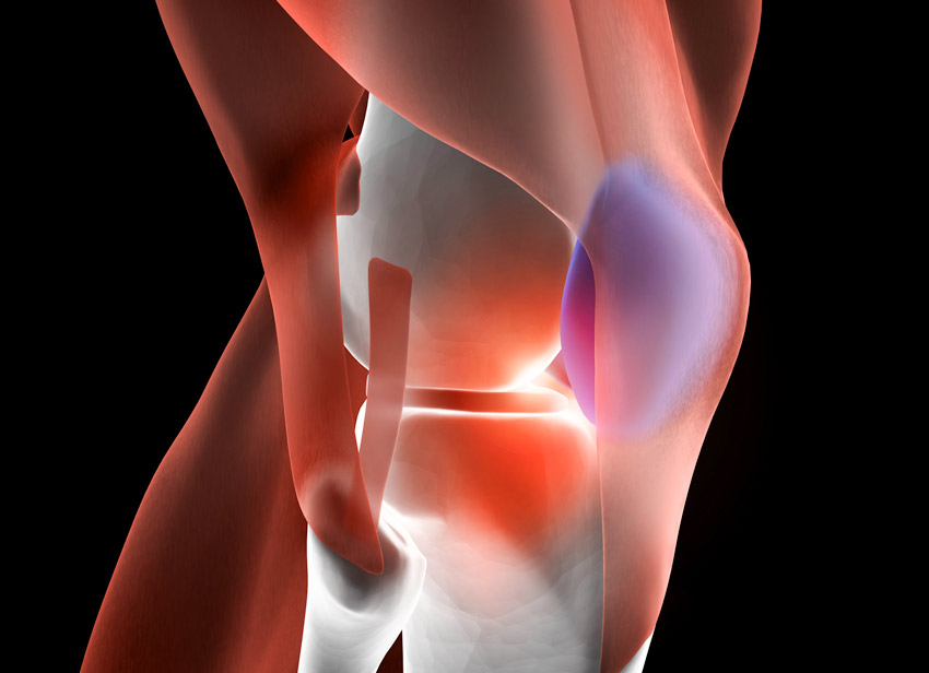knee (patella)