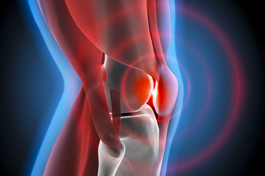 knee depiction