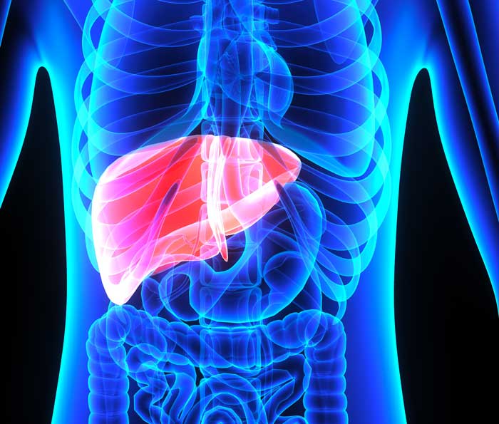 Acupuncture and Herbs Alleviate Ascites Due To Liver Cirrhosis