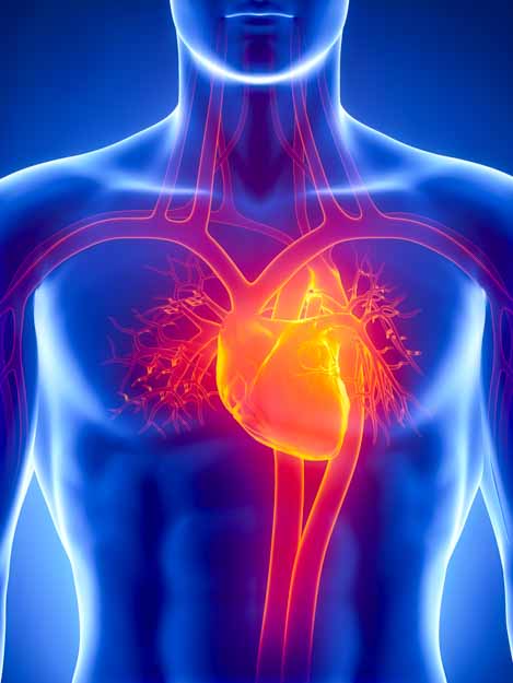 Atherosclerosis affected by needling. 