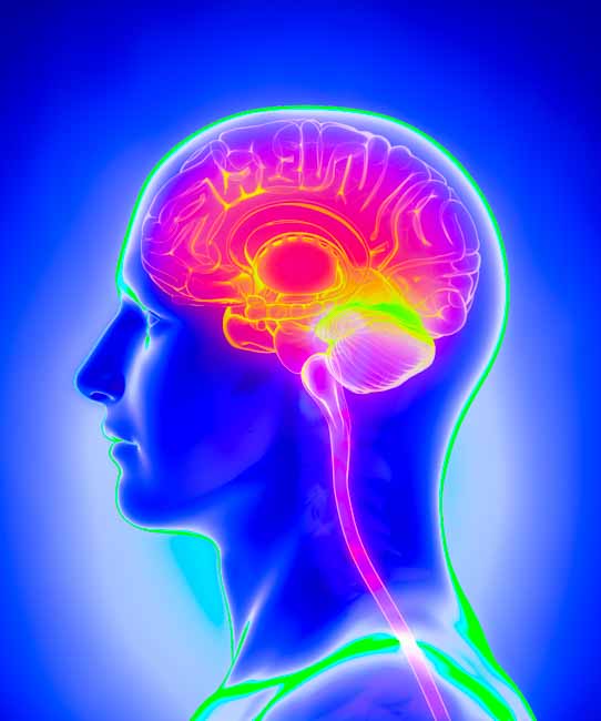 Migraines are types of headaches. 