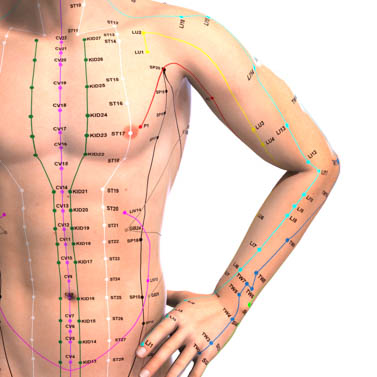 Points of the chest and arms. 