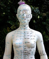 This image depicts acupuncture points on the anterior of the female body. 