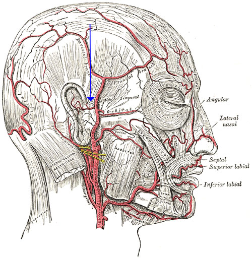 Acupuncture point TB22. 