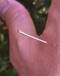 Acupuncture CEUs Online